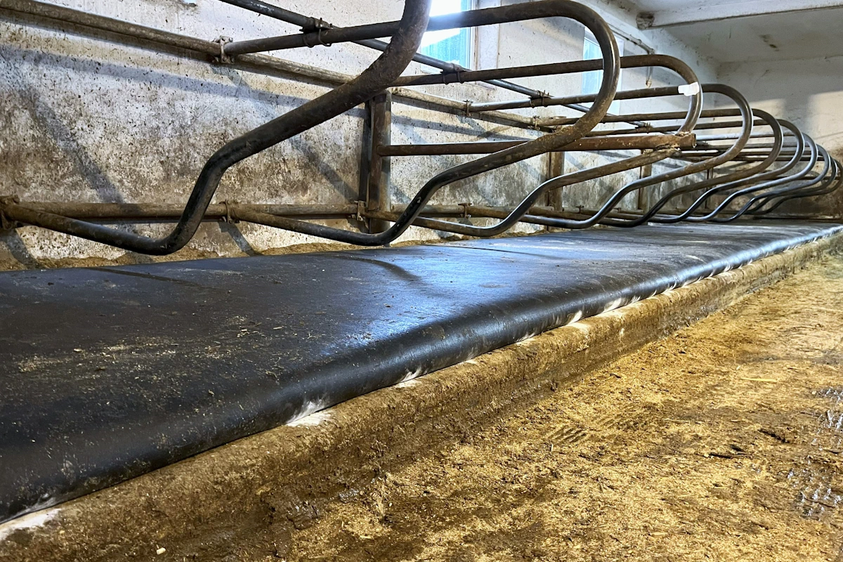 Promat Pasture Mat materace legowiskowe dla krów