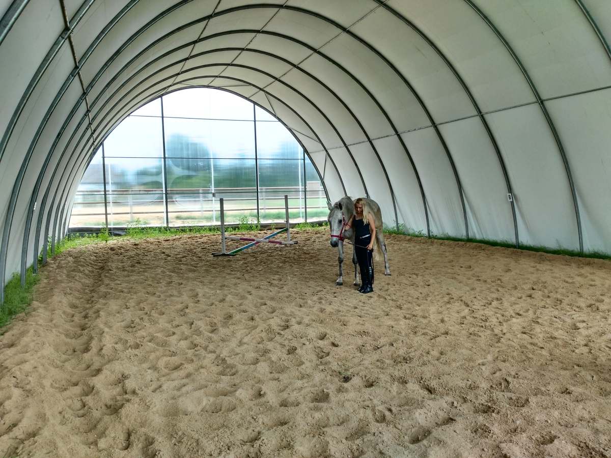 Kobieta z koniem na środku hali łukowej do ujeżdżania koni. Kobieta ubrana jest w czarny strój. Koń w kolorze brązowym ma założone ogłowie.