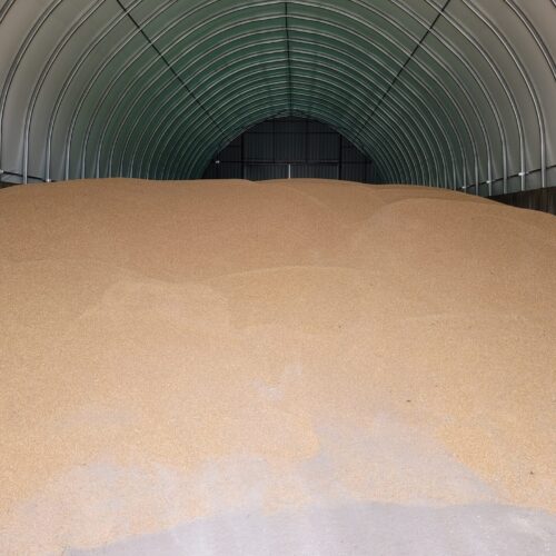 Wnętrze hali ma łukową konstrukcję stalową z jasnym poszyciem, a w środku znajduje się ogromna pryzma ziarna usypana na betonowej posadzce. Ściany boczne są dodatkowo wzmocnione betonowymi murkami zabezpieczającymi przed rozsypywaniem się zboża. To typowa hala na zboże, zapewniająca dużą powierzchnię magazynową i ochronę przed warunkami atmosferycznymi.