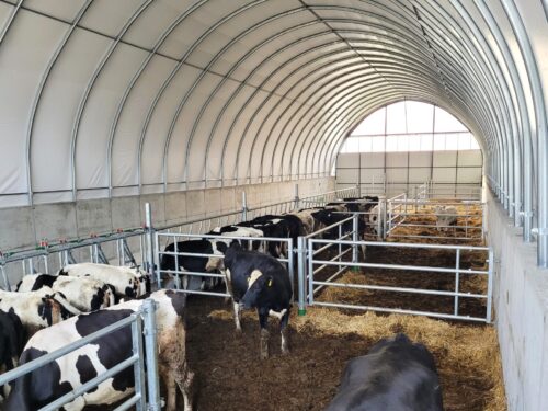 wygrodzenie-dla-bydla