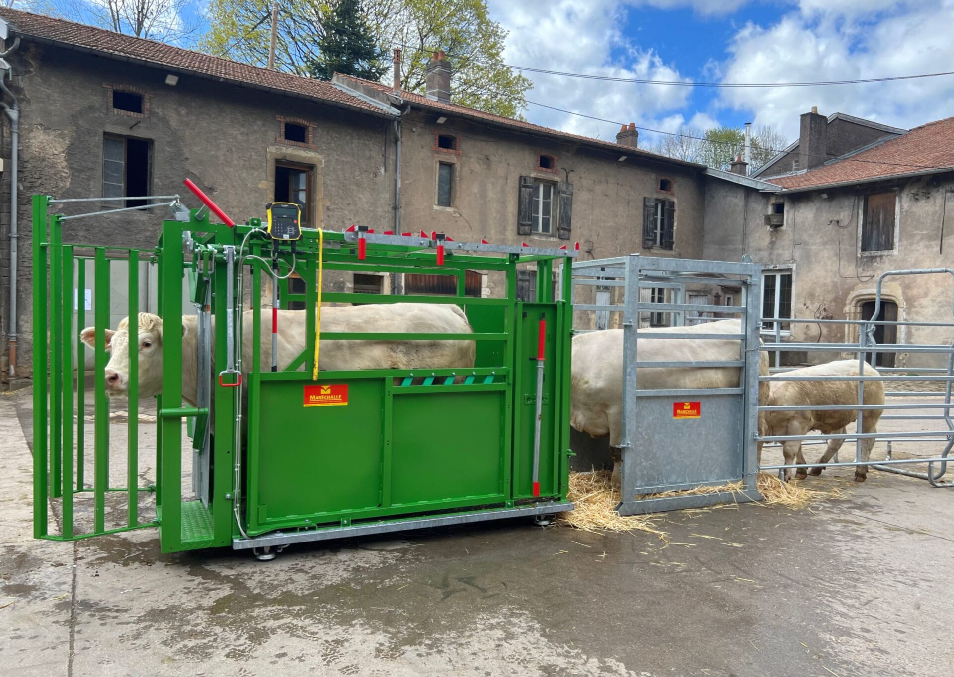 Zielony poskrom dla bydła połączony z metalową zagrodą; krowa stoi w środku, w tle zabudowania gospodarstwa.