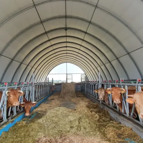 Łukowa hala przeznaczona do hodowli bydła. Obora wyposażona jest w drabiny paszowe z zatrzaskami.