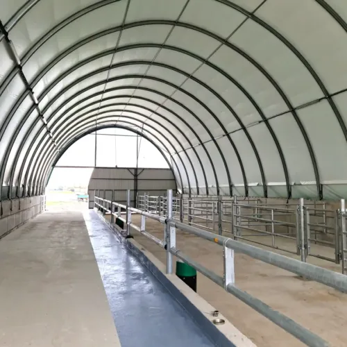 Wnętrze pustej hali dla bydła z szerokim przejściem i solidną konstrukcją stalową. Po bokach widoczne są metalowe wygrodzenia dla bydła.