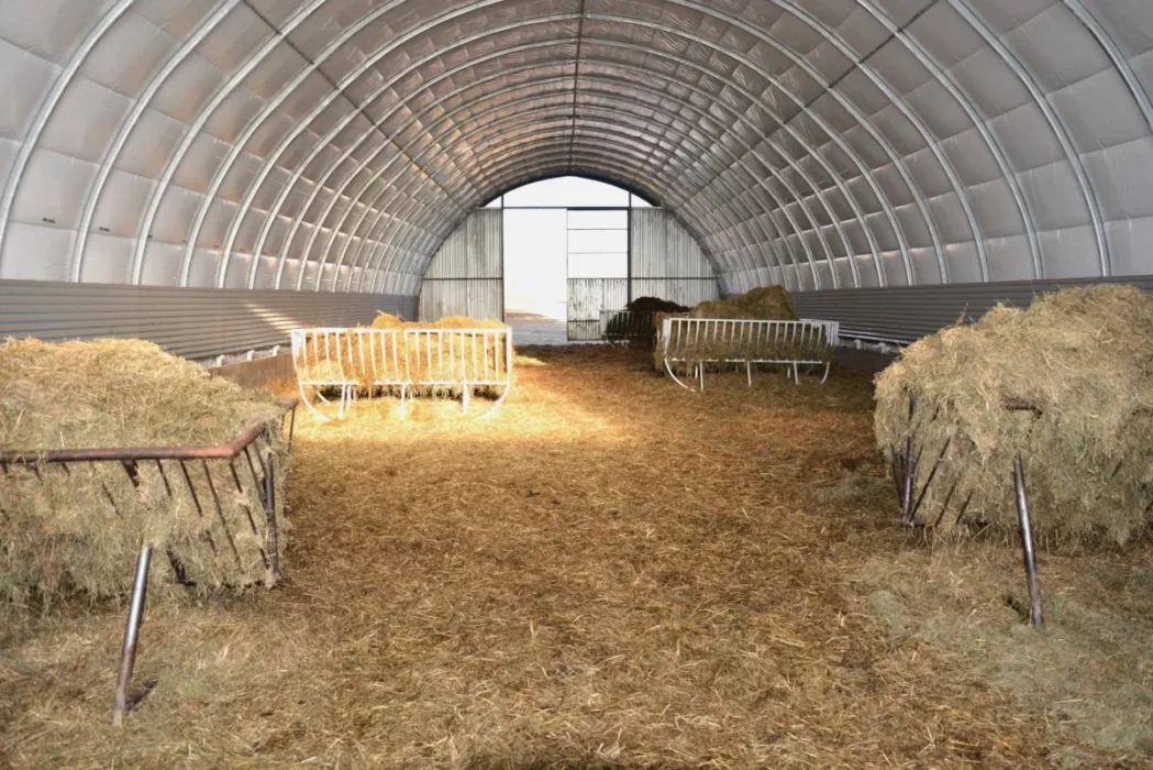 Wnętrze hali dla owiec przygotowanej do karmienia zwierząt. W środku ustawione są karmniki wypełnione sianem oraz zapasy paszy. Konstrukcja łukowa zapewnia odpowiednią przestrzeń do przechowywania i hodowli.