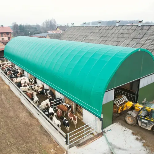 Hala dla bydła w gospodarstwie z maszyną rolniczą JCB przy wjeździe. Krowy znajdują się w zadaszonej części z zielonym poszyciem dachowym.