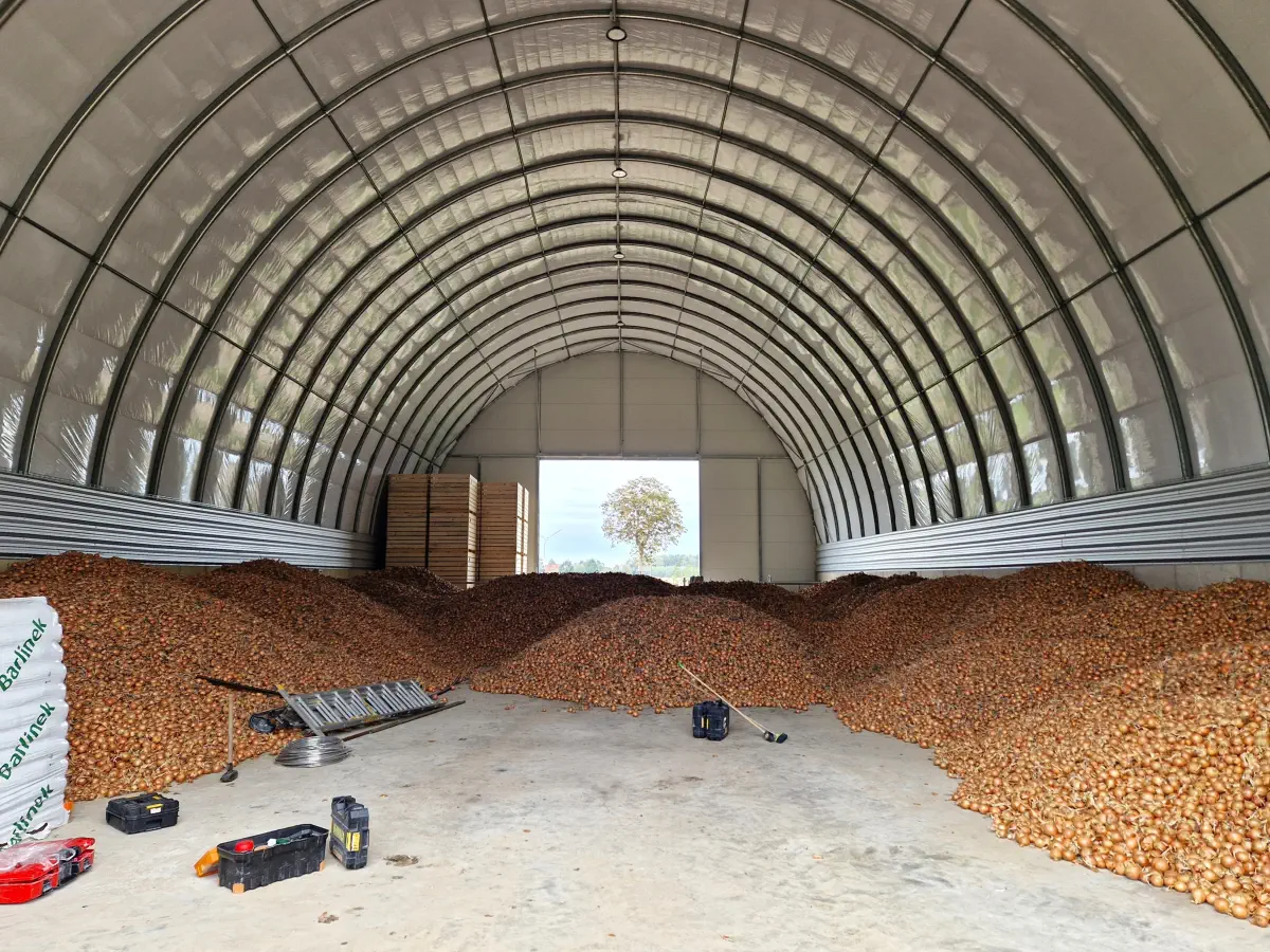 Wnętrze izolowanej hali łukowej wypełnione pryzmami cebuli oraz skrzyniami na plony. Szeroki prześwit i betonowa posadzka ułatwiają wentylację i obsługę zbiorów.