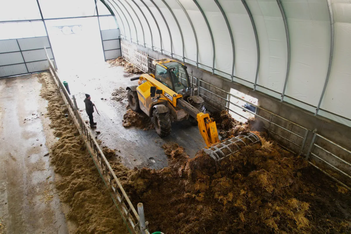Specjalny sprzęt umożliwiający usuwanie starej słomy z obory dla krów. Widoczne jest oczyszczanie obory, pod dodanie nowej i czystej słomy.
