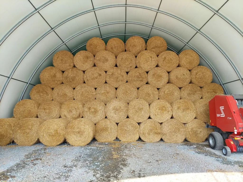 Szeroka hala namiotowa 15m z ułożonymi piętrowo balotami słomy i zaparkowaną prasą belującą