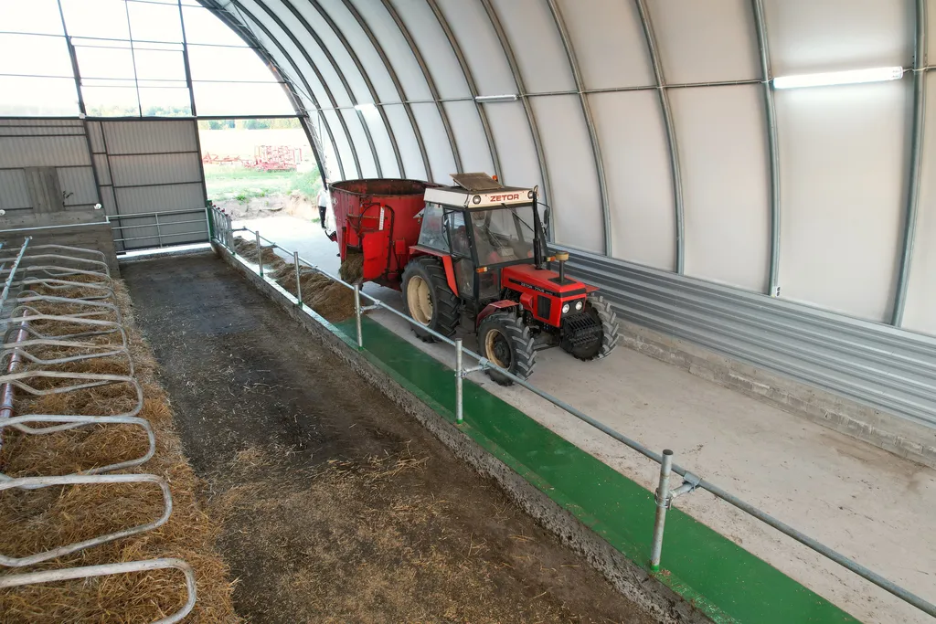 Ciągnik z wozem paszowym na korytarzu obory łukowej