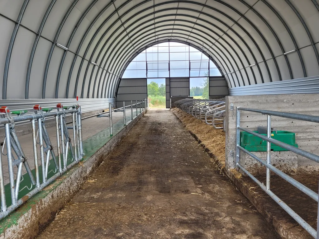 Wnętrze obory tunelowej: korytarz i drabiny paszowe
