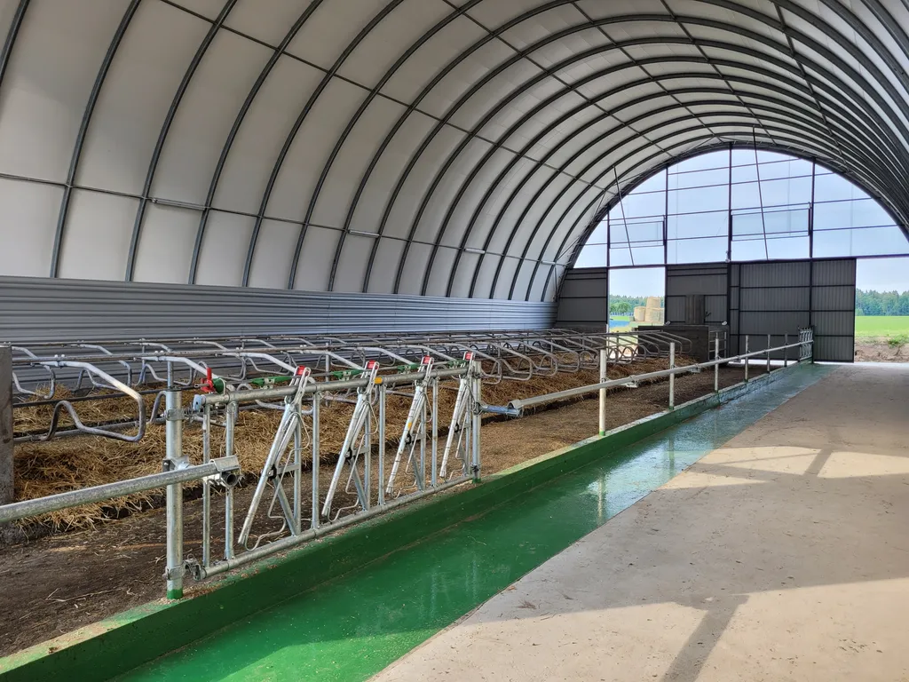 Korytarz paszowy z wygrodzeniami w oborze