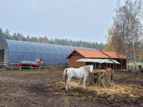 Przydomowa stajnia z halą łukową