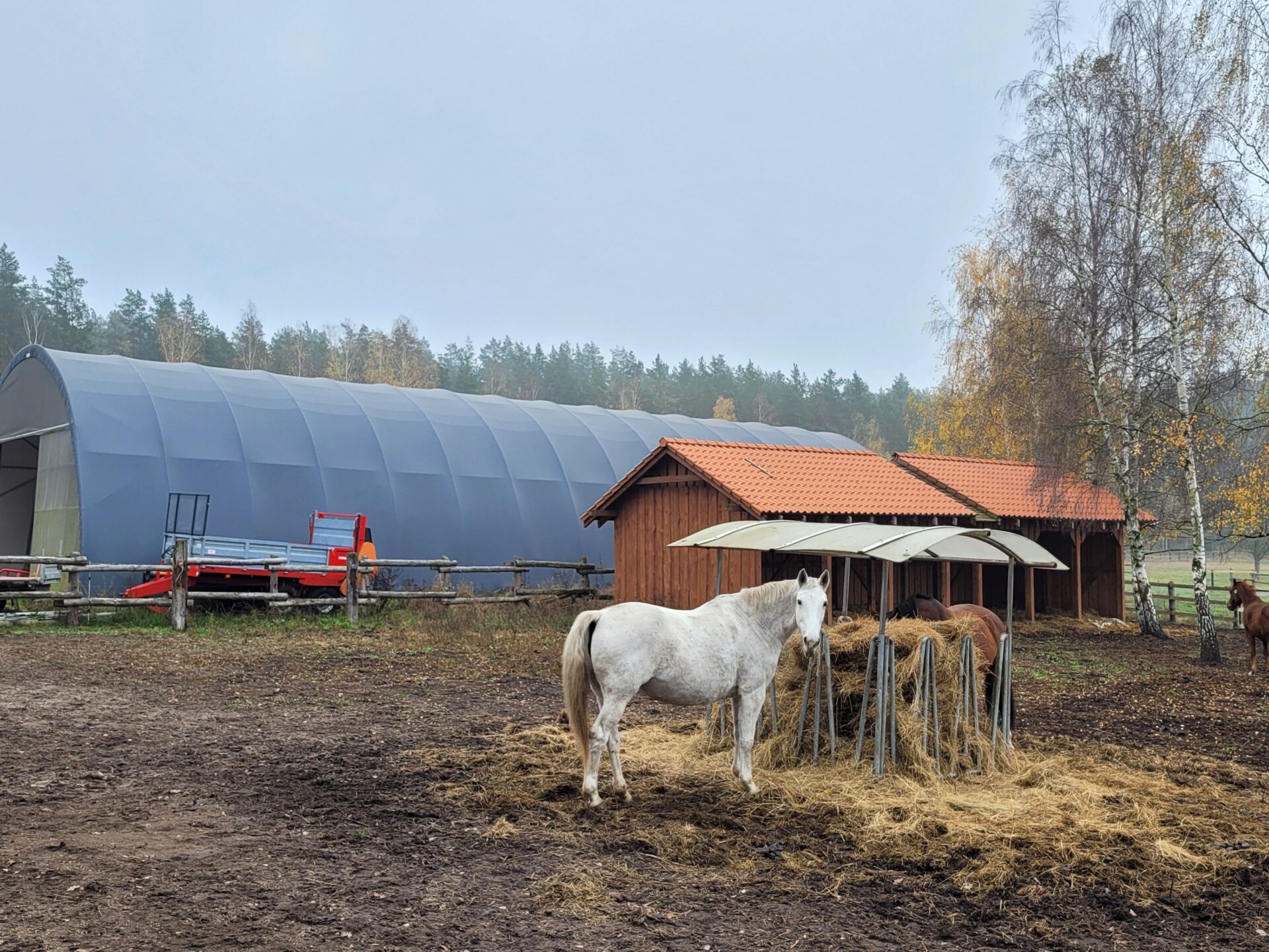 Przydomowa stajnia z halą łukową